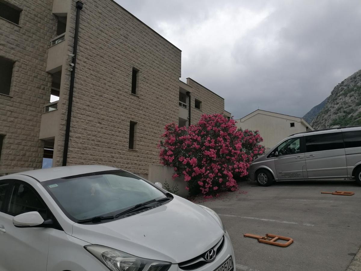 Villa Milla Kotor Exteriör bild